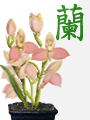 Маджонг Цветущая орхидея